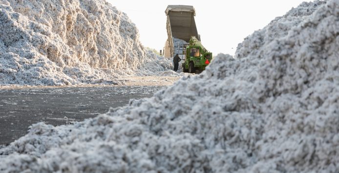 shutterstock_1718332750