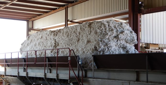 shutterstock_1718332752